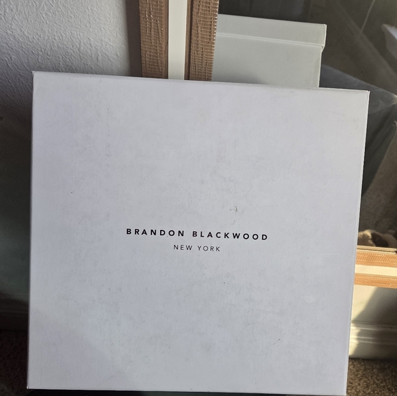 Brandon Blackwood Arlen in Brown Suede with Silver Hardware - Picture 11 of 11